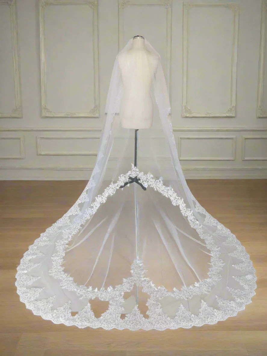 Wedding Veil Cathedral Length One Layer Heart Lace Bridal Accessory - Image 3